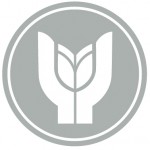 Yasar-Universitesi-Logo-Gri